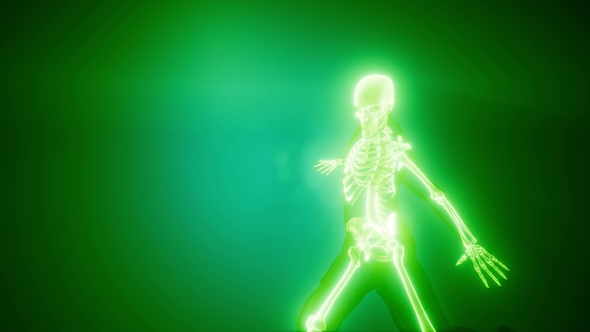 Soccer Game Player alt