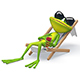 Frog in a Deckchair with Alpha Channel - VideoHive Item for Sale