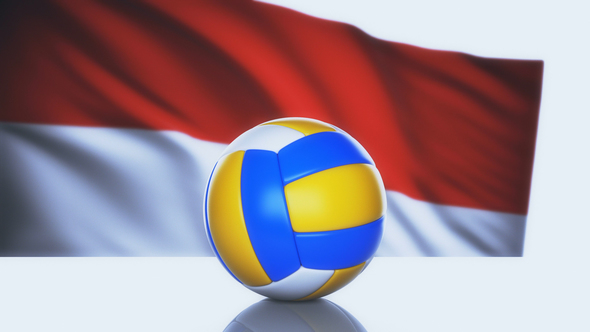 Volleyball Ball with Monaco Flag alt