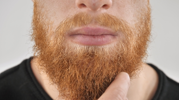 A Man with a Red Beard, Scratching His Beard