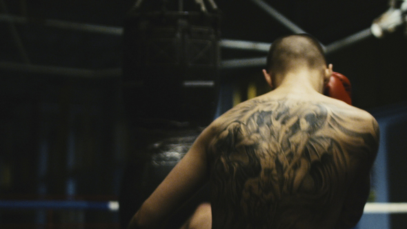 Tattooed Boxer Training on Ring with Bag