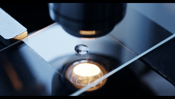 Examining of Test Sample Under the Microscope in Laboratory alt