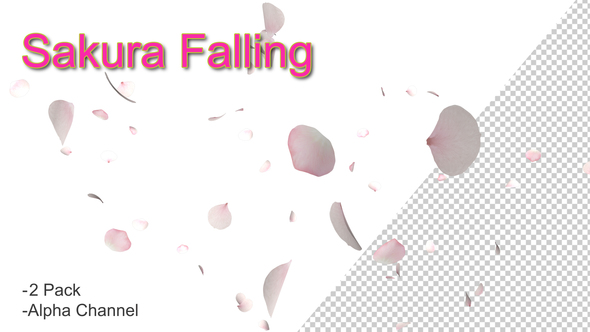 Sakura Falling