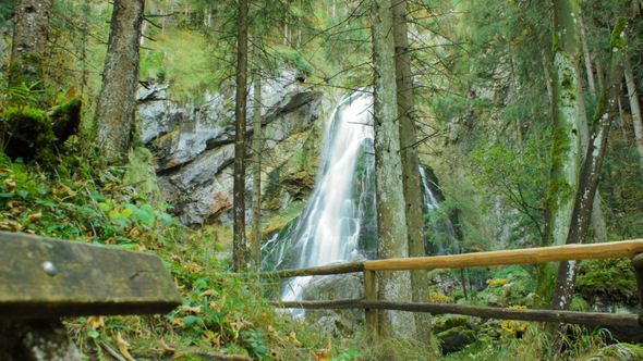 Waterfall in Forest