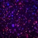 Colorful Purple Confetti Falling Animation Particle Background Seamles Loopable Animation 4K - VideoHive Item for Sale