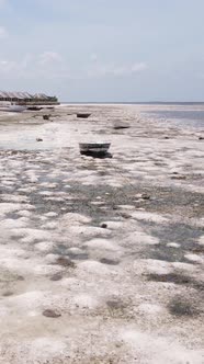 Vertical Video of Low Tide in the Ocean Near the Coast of Zanzibar Tanzania