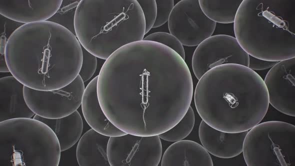 Animation of the death of bacteriain microscopic view