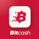 Bitcash Logo - GraphicRiver Item for Sale