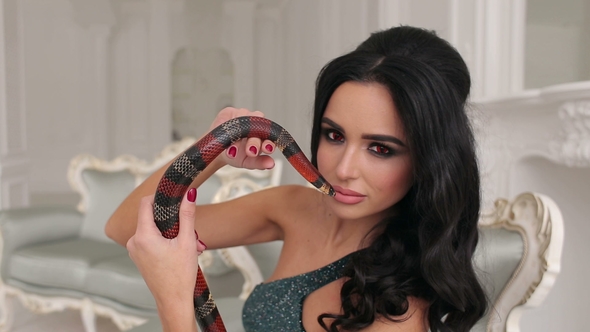 Portrait of a Model Girl with a Snake on a Couch