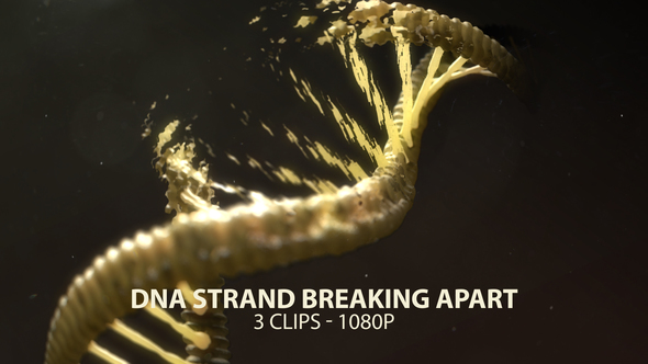 DNA Strand Breaking Apart alt