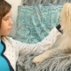 Little Girl Strokes a Dog - VideoHive Item for Sale