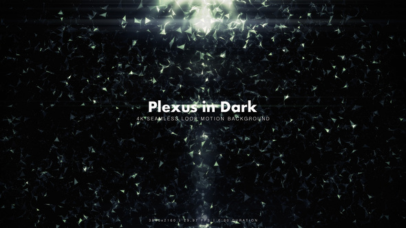 Plexus in Dark