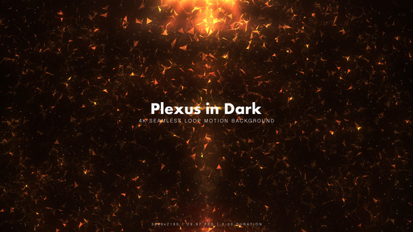 Fiery Plexus in Dark