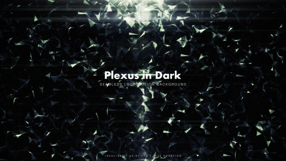 Plexus in Dark