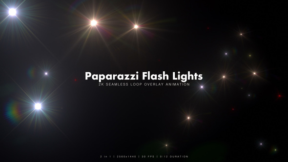 Paparazzi Flash Lights 4 alt