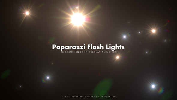 Paparazzi Flash Lights 3 alt