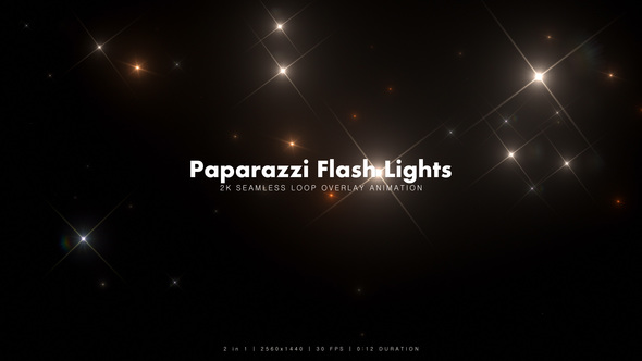 Paparazzi Flash Lights 1