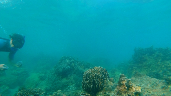 Shot of a Young Man Snorkeling and Diving Dip Into Sea