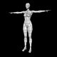 Human Female Low Poly Base Mesh - 3DOcean Item for Sale