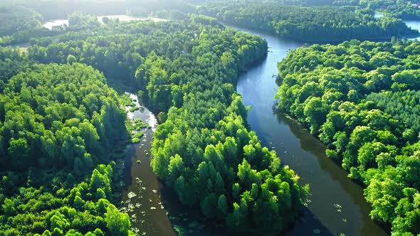 Winding river between green forests at sunrise