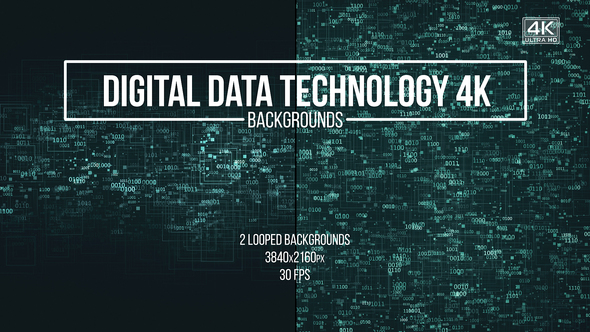 Digital Data Technology