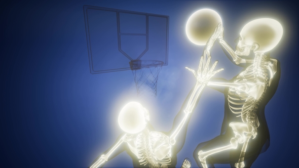 Basketball Game Player alt