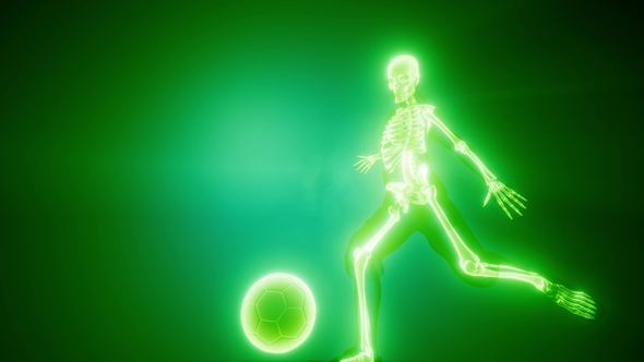 Soccer Game Player alt