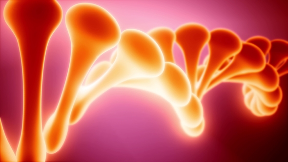 DNA Model Rotate alt