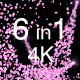 6 Sakura Particles 4K Pack - VideoHive Item for Sale