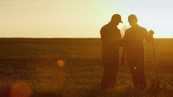 Two Farmers Talk in the Field, Use a Tablet. Beautiful Sunset, Silhouettes of Two Men Seen