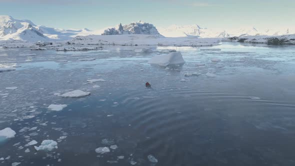 Zodiac Boat Sail Glacier Tracking Aerial View