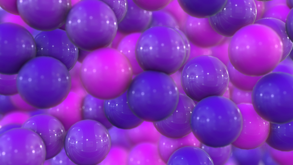 Purple Bubbles Transitions alt