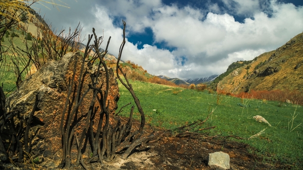 Landscape Damaged By the Thomas Fire in California Mountains in