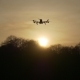 Dron at Sunset in the Rays of the Setting Sun - VideoHive Item for Sale