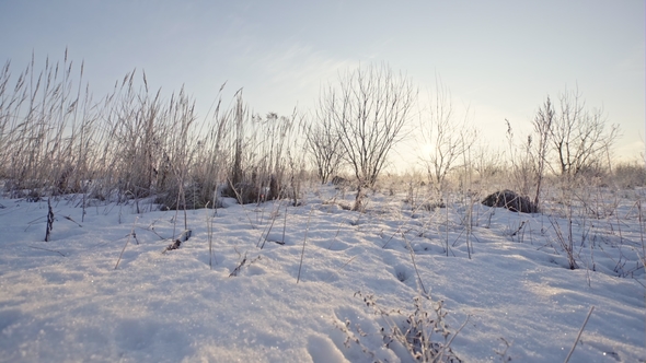 Christmas Fairy Tale Snow Scenary. Hillocky Fields or Swamp. Winter Cloudy Landscape