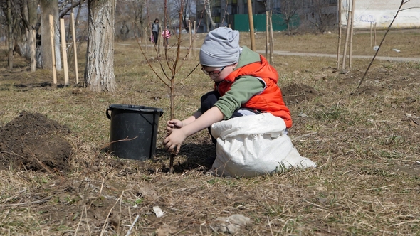 Spring. A Little Boy Planting Fruit Trees Next To a Multi-storey Residential Building. Ecology