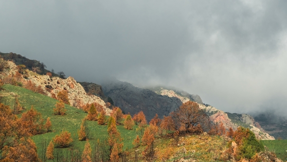 Mountain Ridge with Cloudy Sky, Covered with Grass and Trees with Orange Leaves in