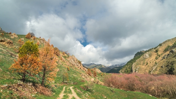  Landscape in the Alps with Green Meadows and Blooming Orange Trees and Mountain