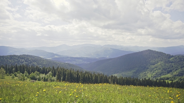 Perspective Landscape of Green Mountains with Woods Under Bright Blue Sky with White Clouds.