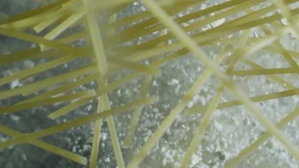 Raw Spaghetti and Flour Falling Down