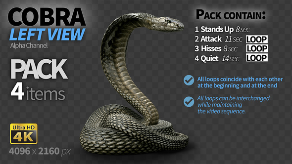 Cobra Left View Pack 4