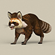 Game Ready Raccoon - 3DOcean Item for Sale