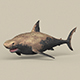 Game Ready Shark - 3DOcean Item for Sale