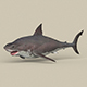 Game Ready White Shark - 3DOcean Item for Sale