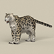Game Ready Snow Leopard - 3DOcean Item for Sale