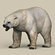Game Ready Polar Bear - 3DOcean Item for Sale