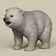 Game Ready Polar Bear Cub - 3DOcean Item for Sale