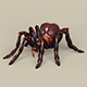 Game Ready Fantasy Spider - 3DOcean Item for Sale