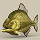 Game Ready Monster Fish - 3DOcean Item for Sale