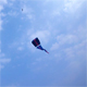 Flying kite - VideoHive Item for Sale